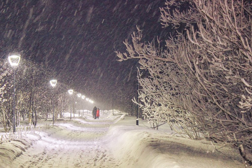 Photograph by Ольга Ситникова