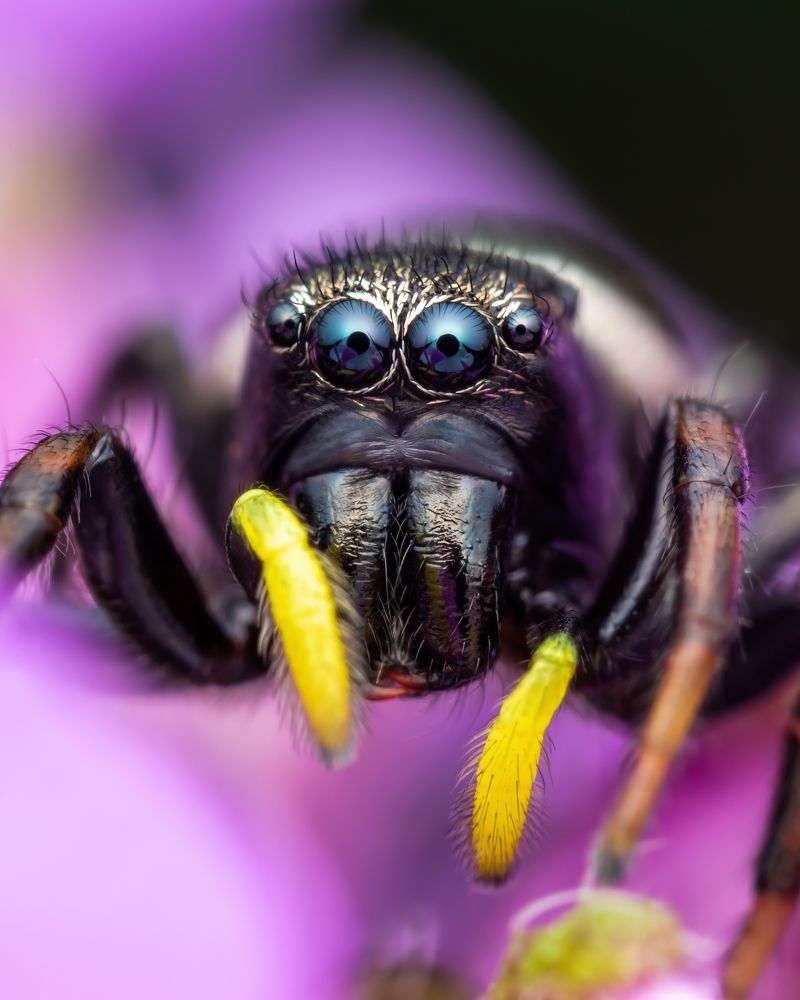 Photograph by Роман Фадеев