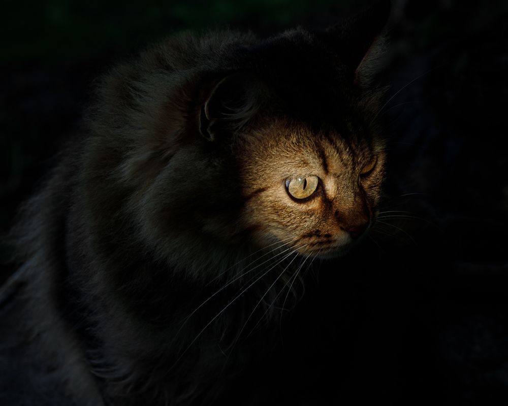 Photograph by Вера Голицына