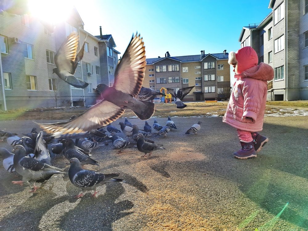 Photograph by Мария Кобыльченко