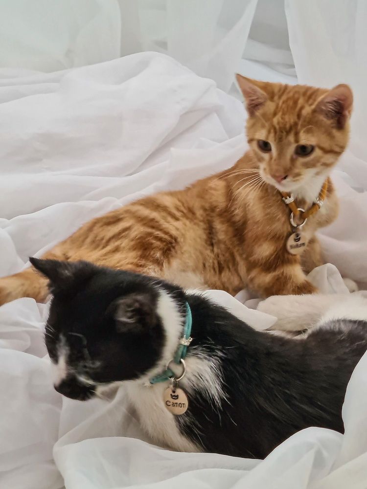 Photograph by Татьяна Соколовская