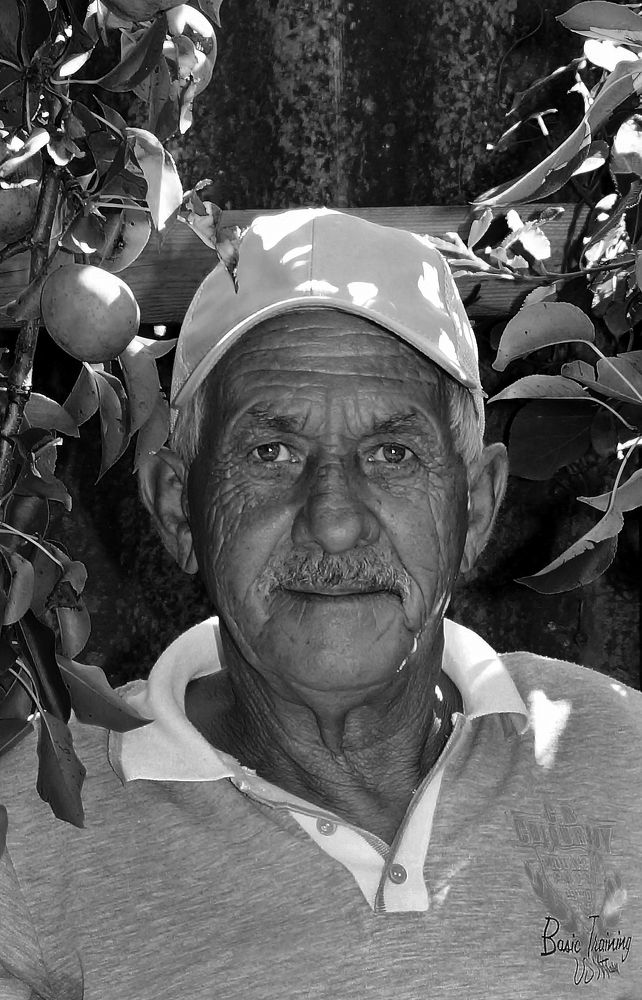 Photograph by Любовь Дворникова