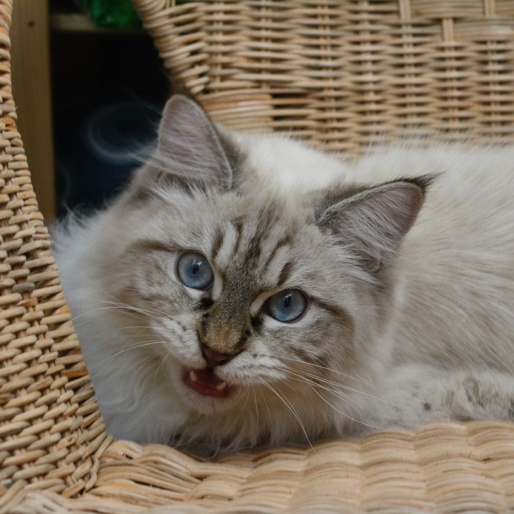 Photograph by Римма Большакова