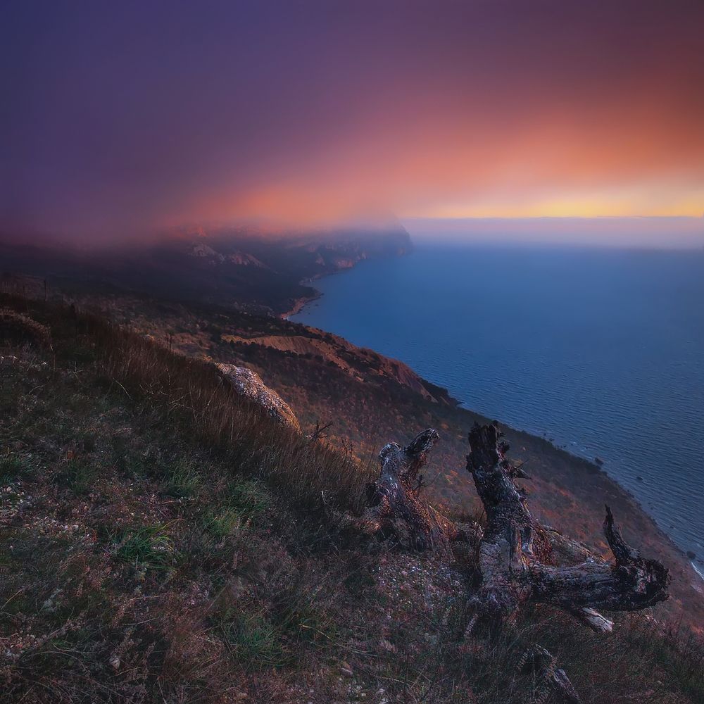 Photograph by SHE (Aiya) Таня