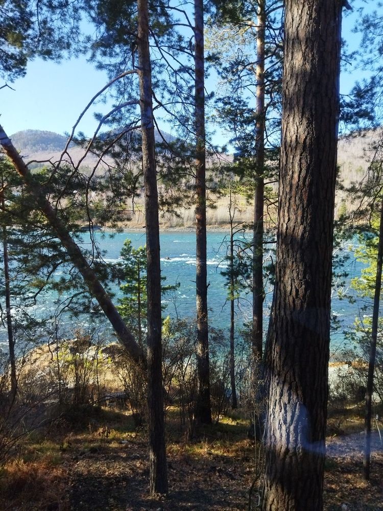 Photo #8671335