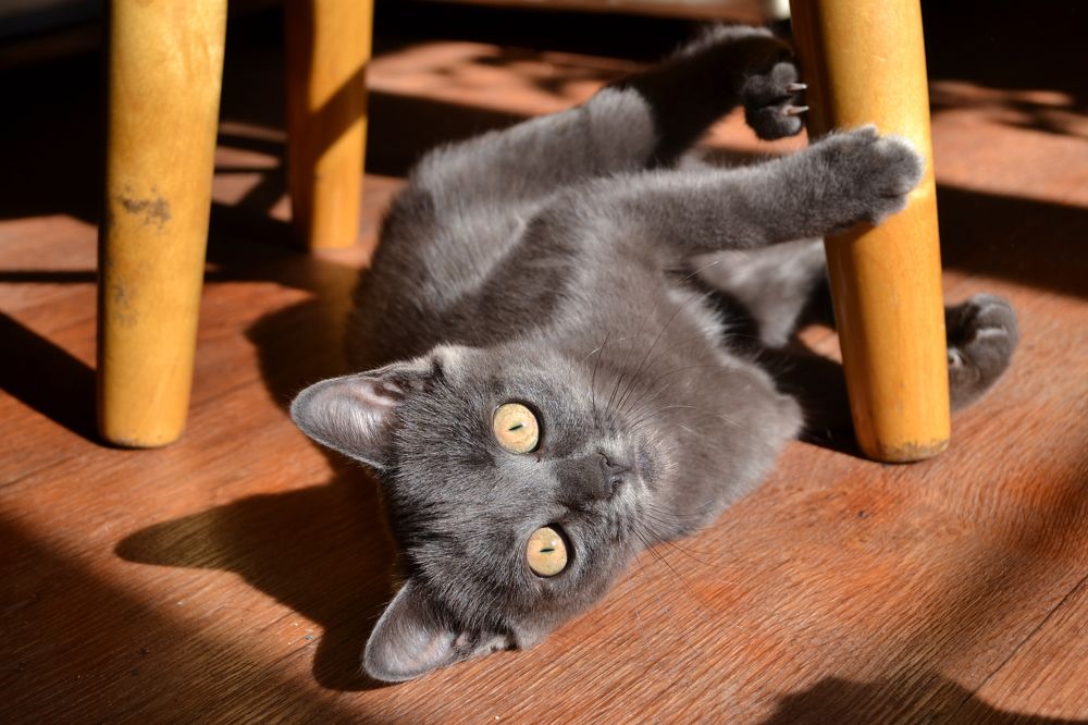 Photograph by Анастасия Маклакова