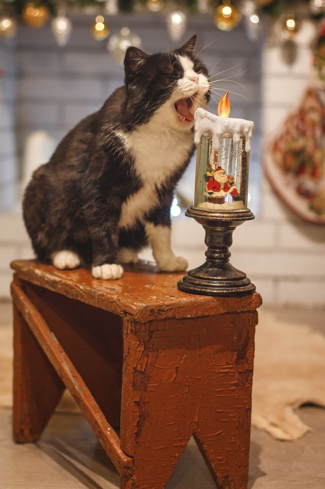 Проверка на прочность.