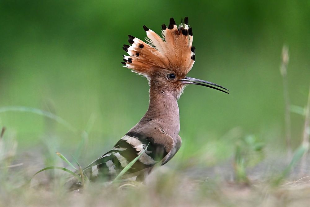 Photograph by Чернобай Анна