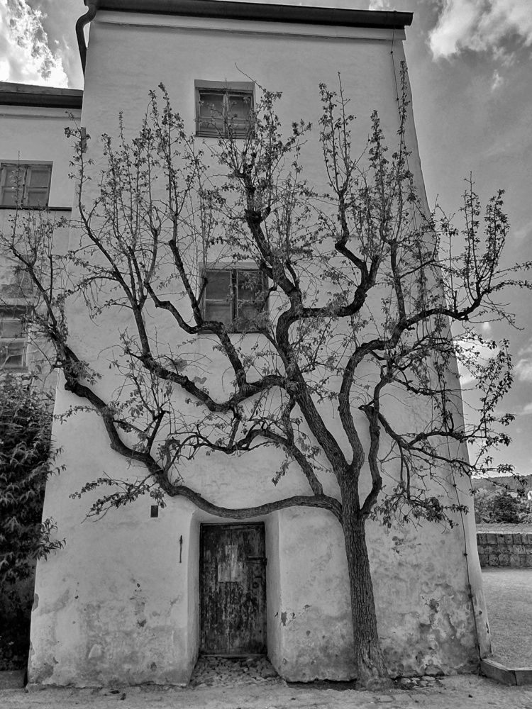 Photograph by Марина Регенспергер