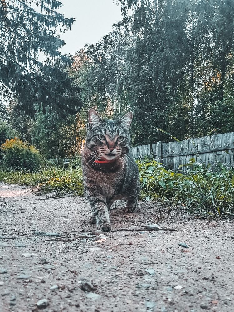 Photograph by Ольга