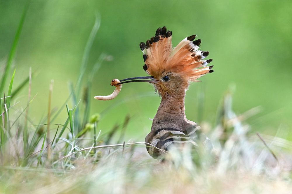 Photograph by Чернобай Анна