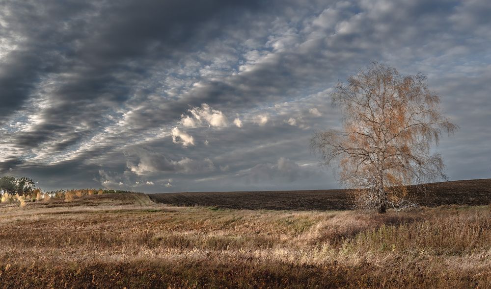 Photograph by Валерий Туманов