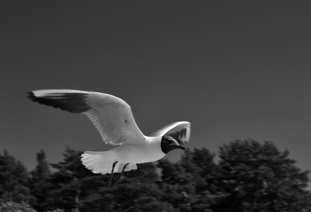 Photograph by Наталия Колемасова