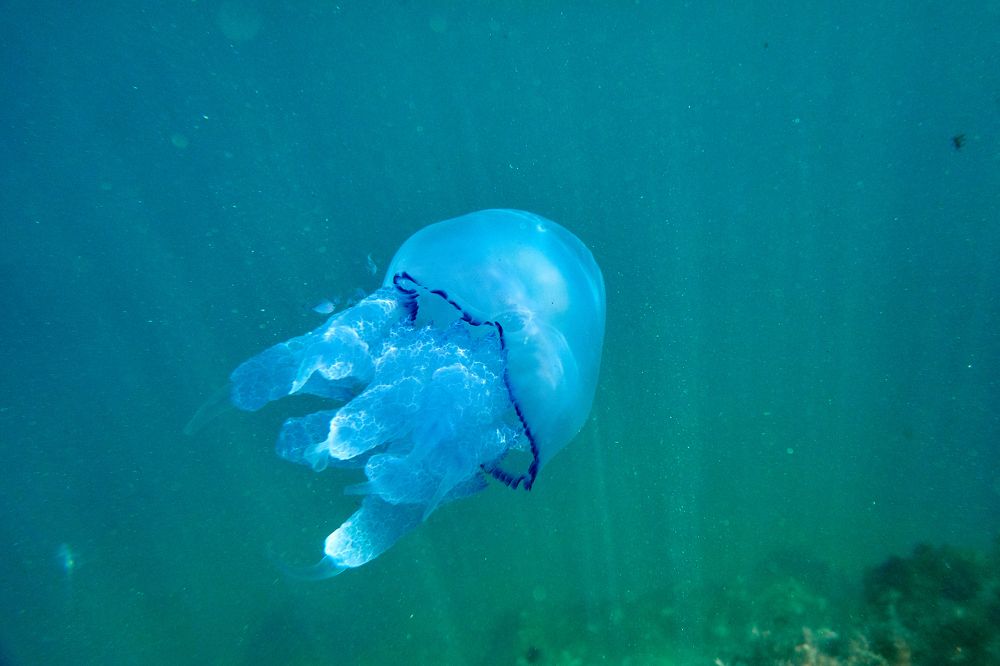 Photograph by Андрей Валерьевич