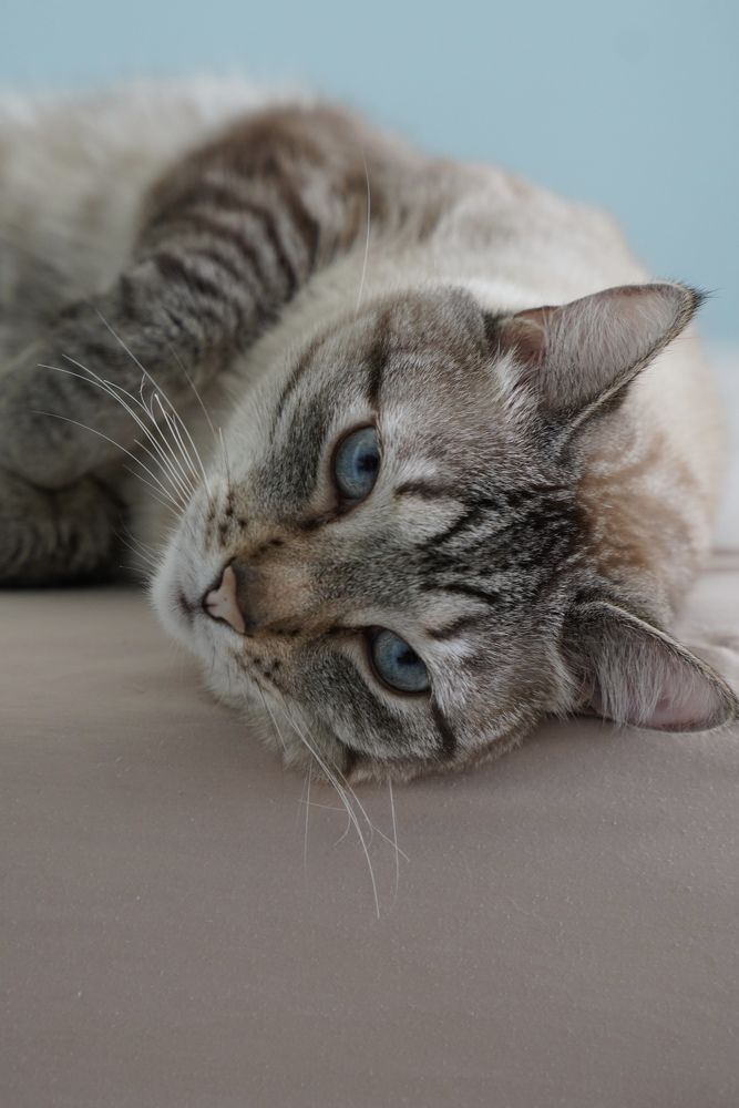 Photograph by Мария Акимова