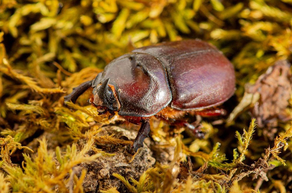 Photograph by Виталий Маслов