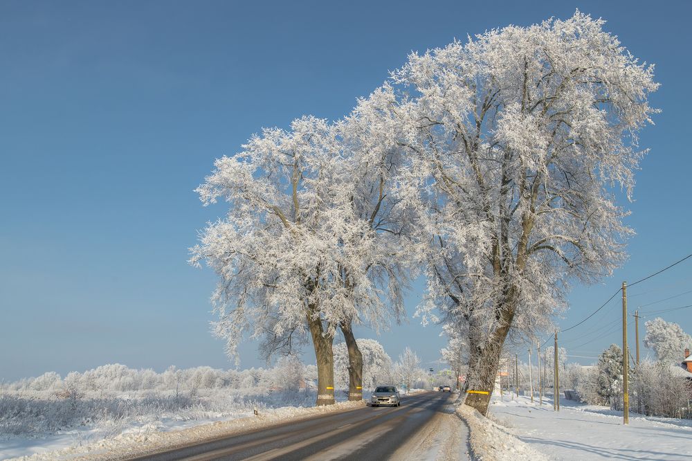 Photograph by Наталья Брюхненко
