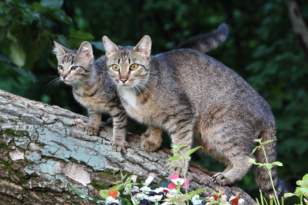 Фотография автора Кухта Мария