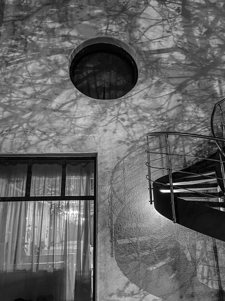 Photograph by Анастасия Ломаева