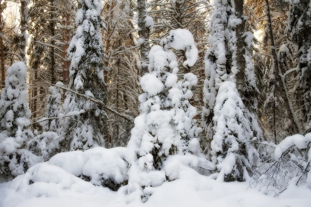 Фотография автора Марина Юдинских