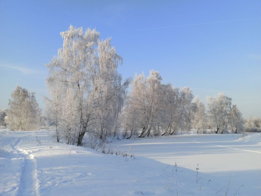 Photograph by Eлена Смирнова