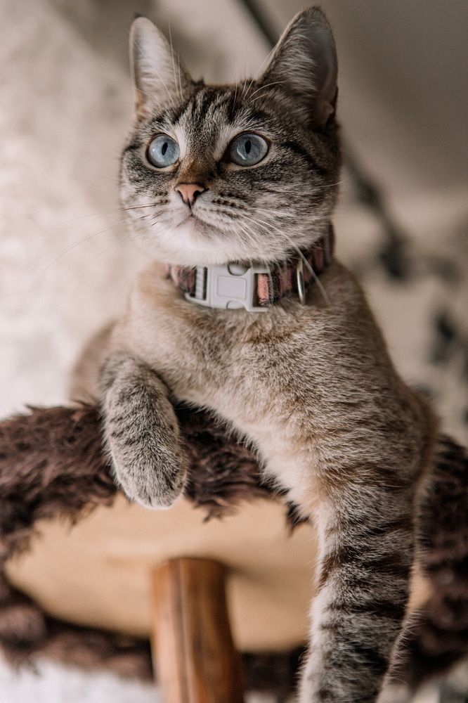 Ничего не пропущу!