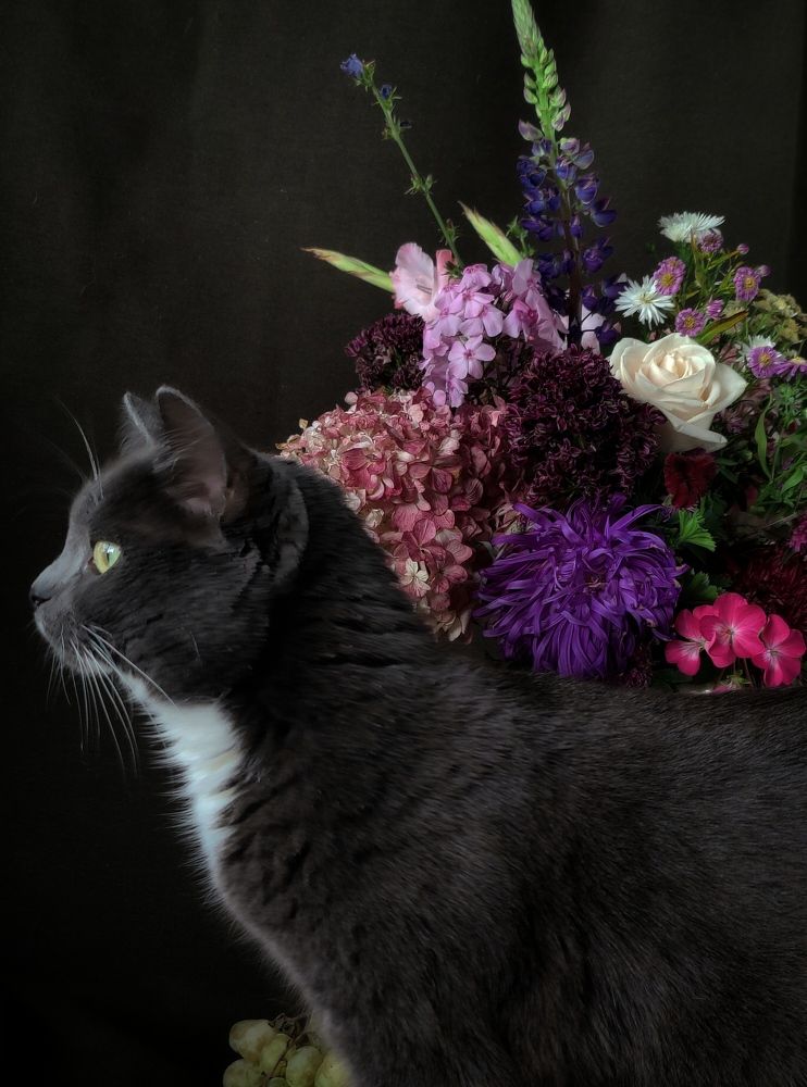 Photograph by Татьяна Гулакова