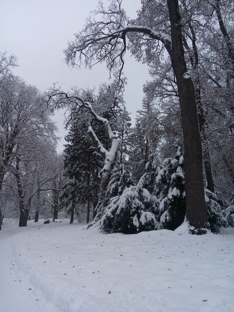 Photograph by Ирина Шаповалова