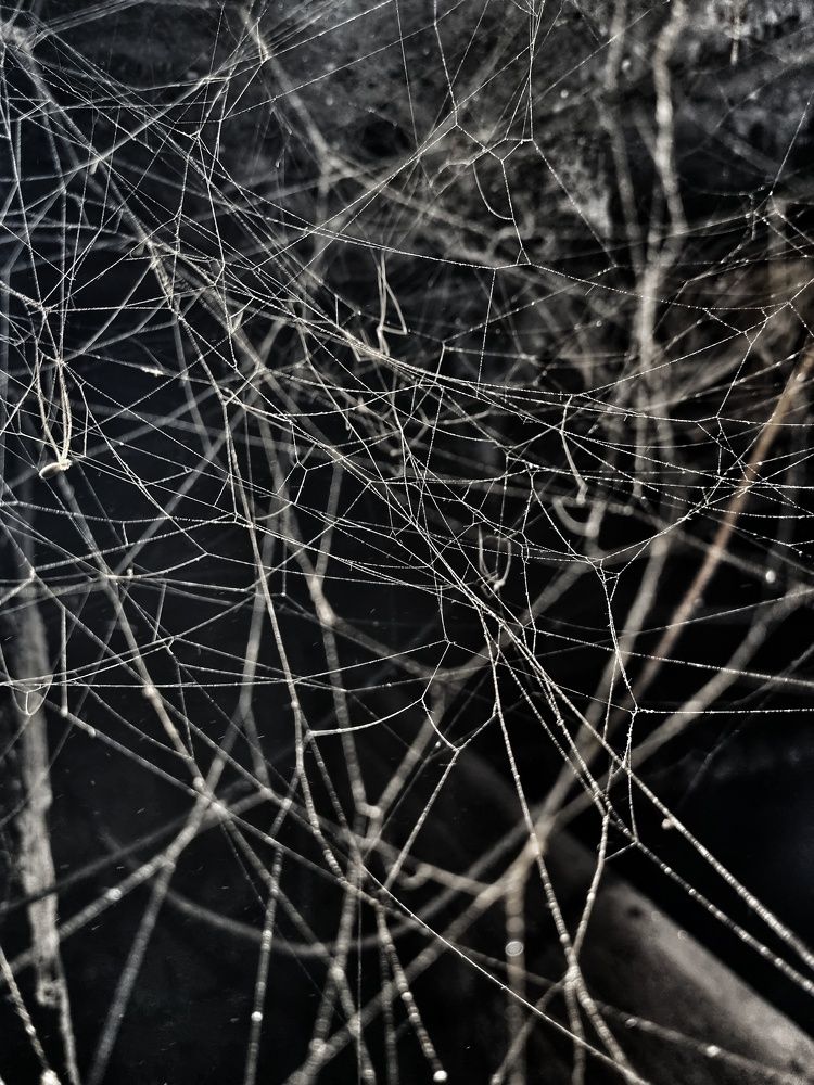 Photograph by Ирина Герлин