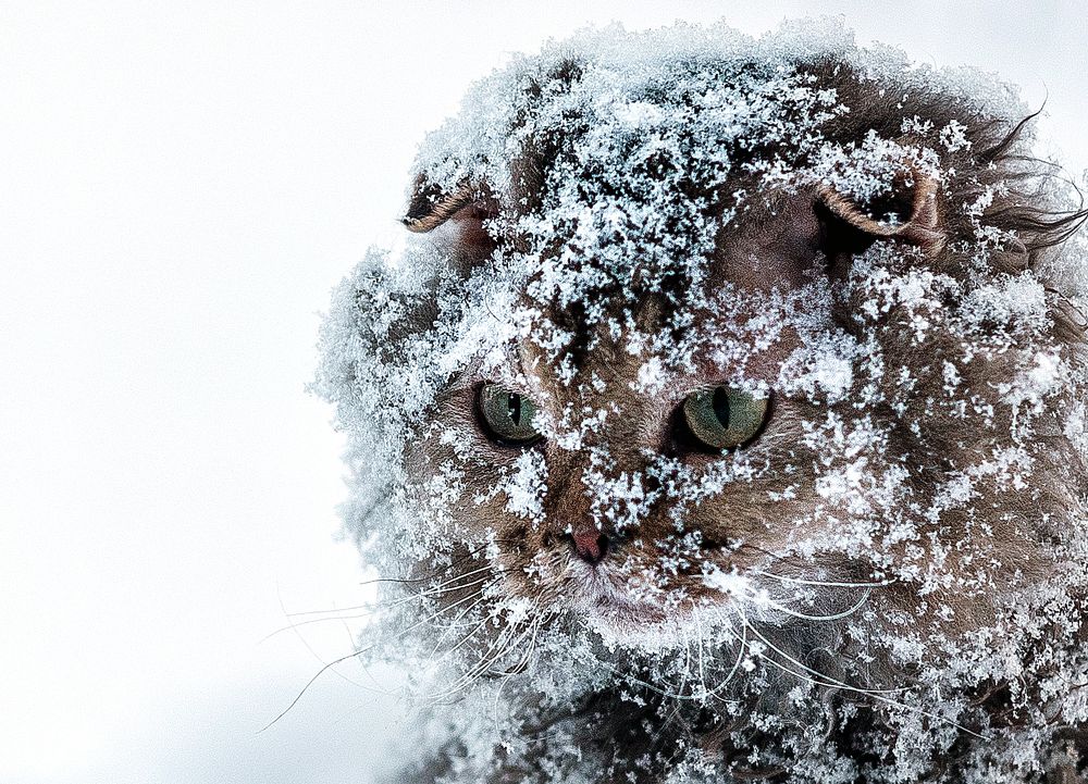 Photograph by Виктор Садырин