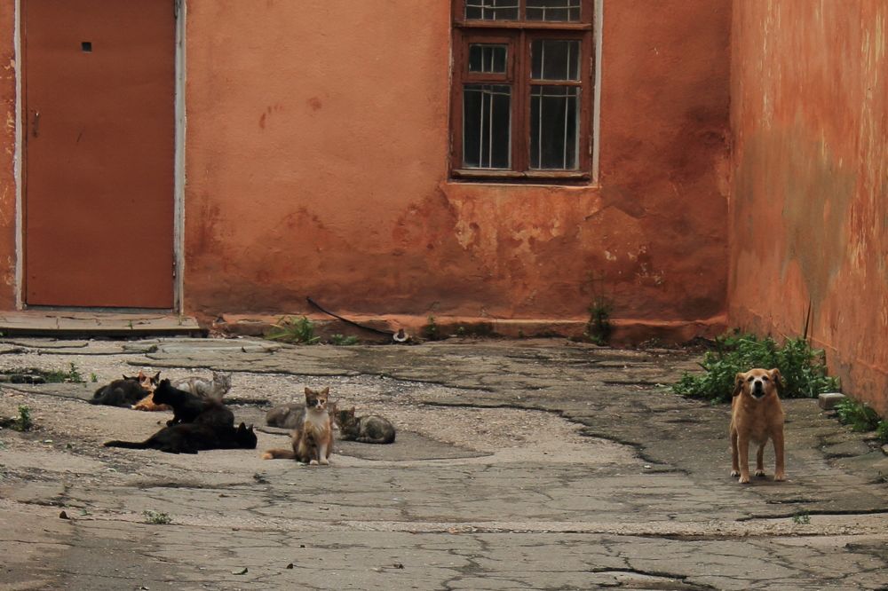 Photograph by Андрей