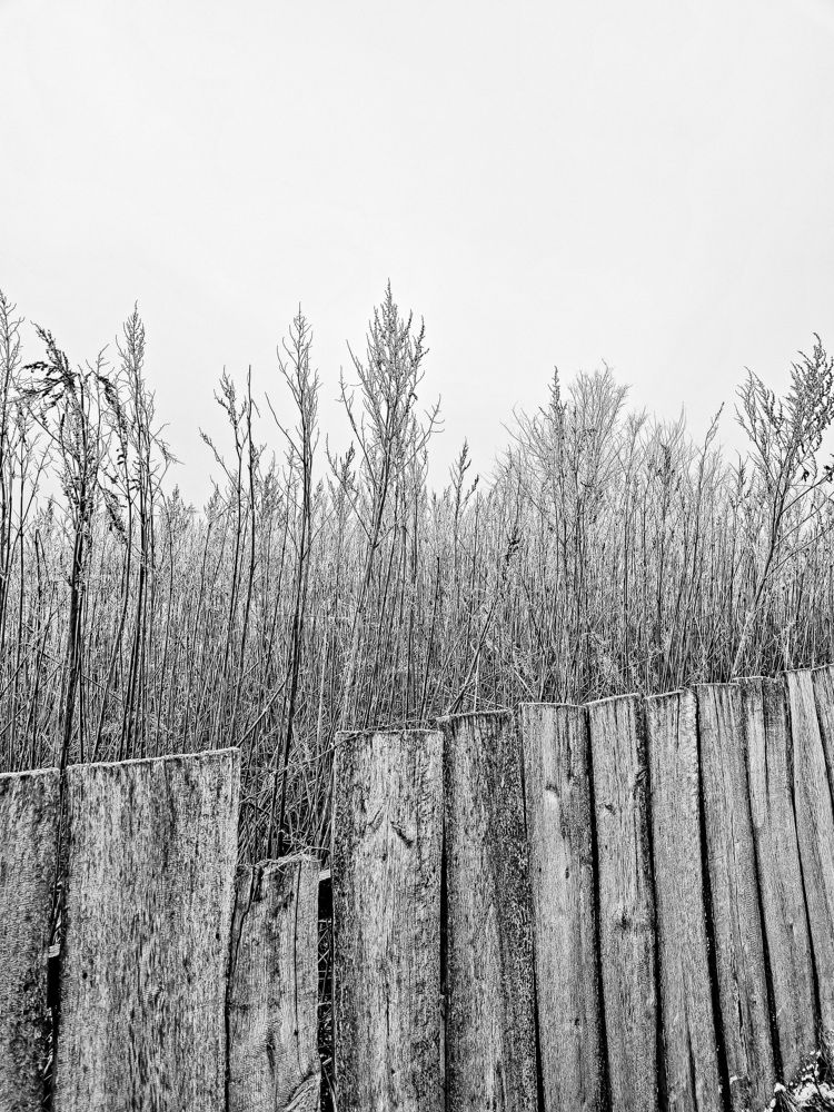 Photograph by Ирина Герлин