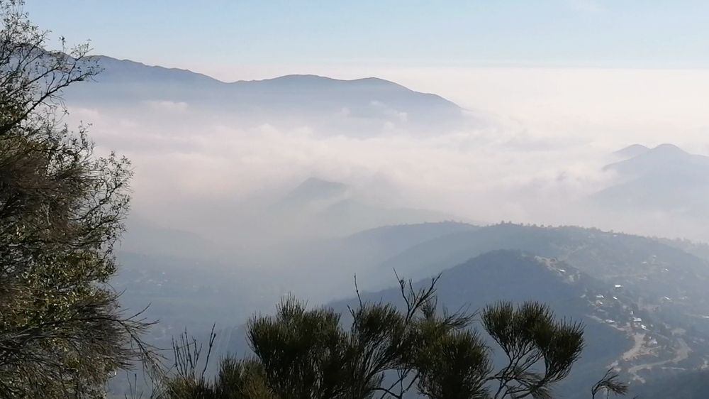 Фотография автора Mónica Harris R