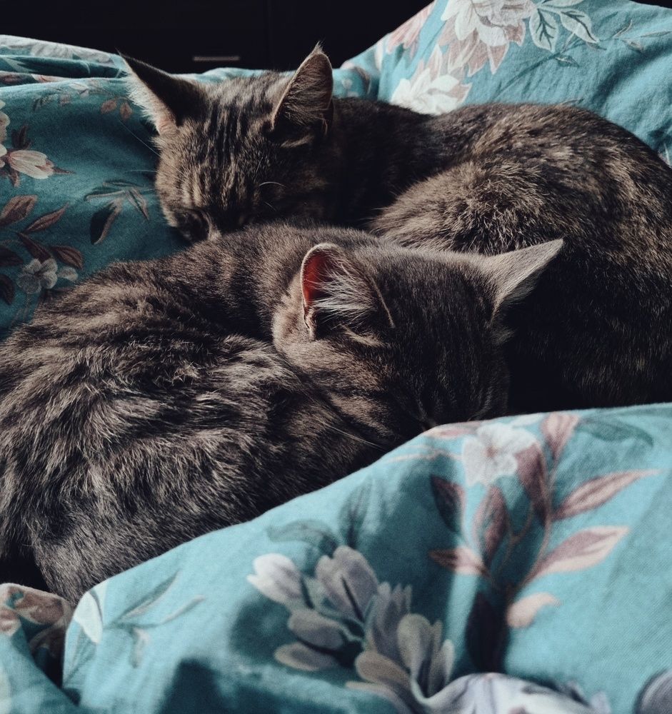 Photograph by Ирина Герлин