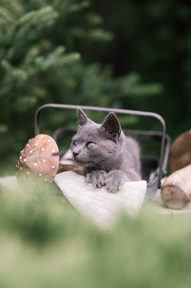 Photograph by Екатерина Климова