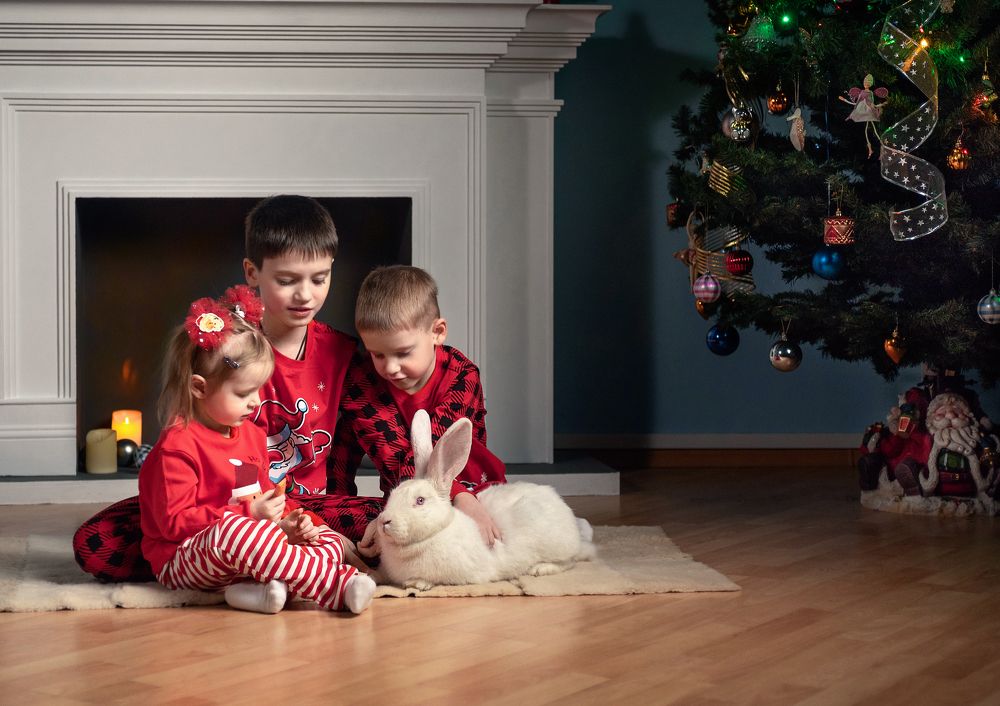 Photograph by Сергей Степанов