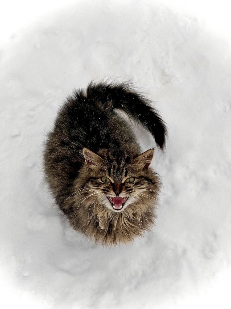 Photograph by Ольга Штукерт