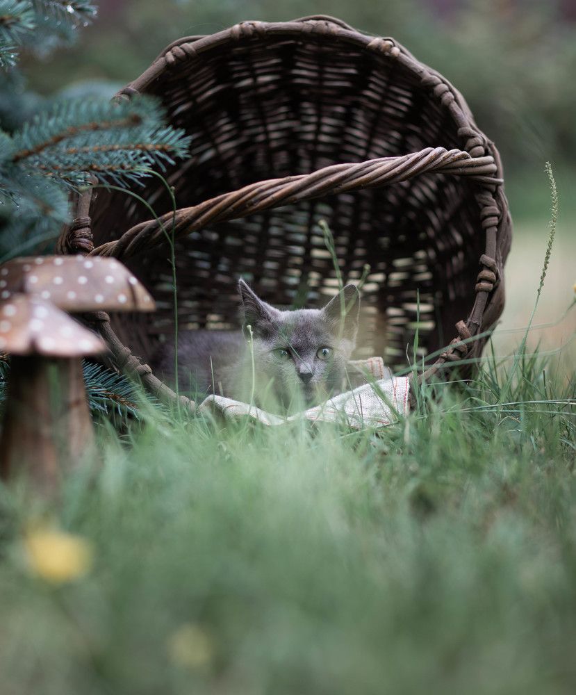 Photograph by Екатерина Климова