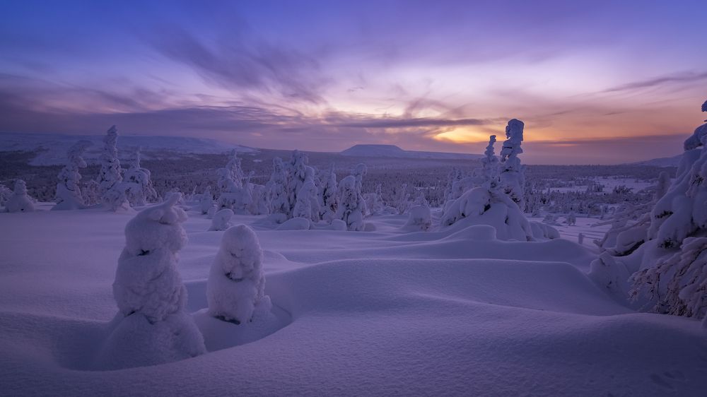 Фотография автора Александр Рудный