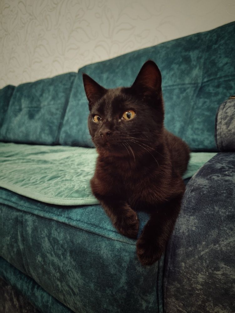 Photograph by Ирина Герлин