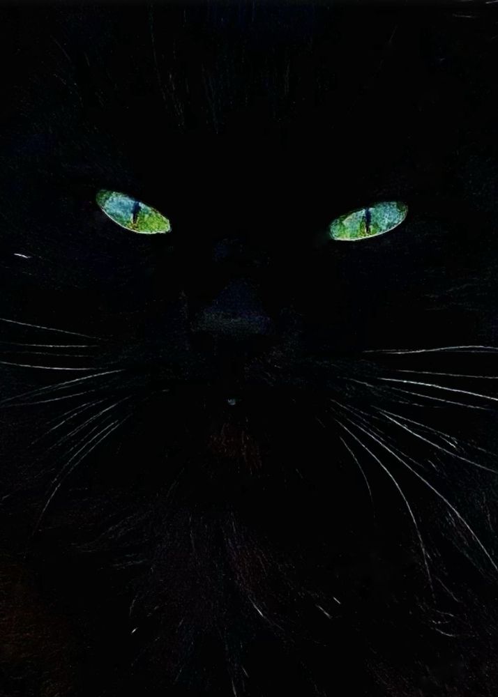 Фотография автора ГУЗАЛИЯ ГАНИЕВА