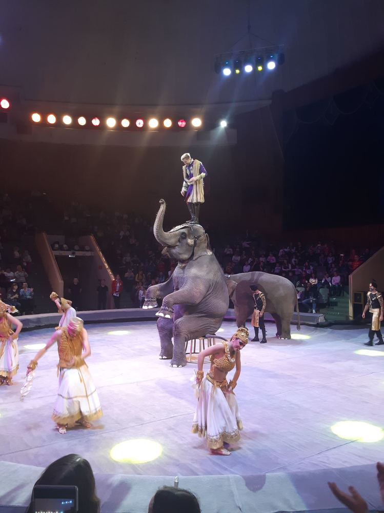 Photograph by Ирина Данилова