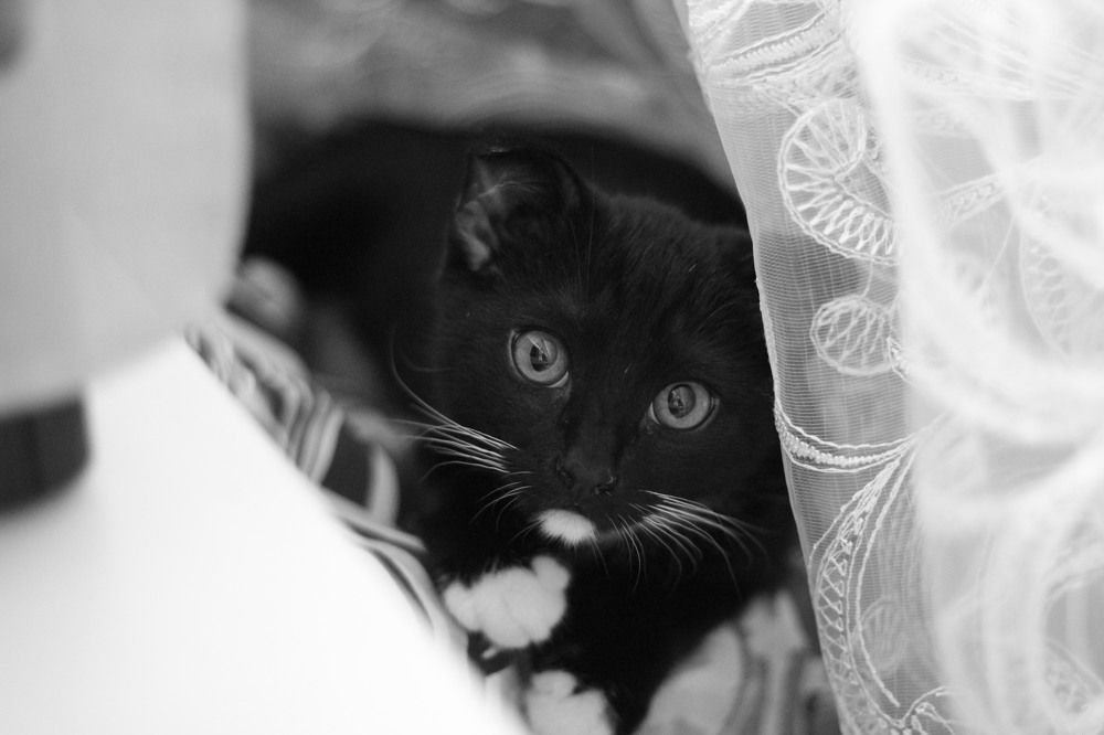 Photograph by Гульнара Зиангирова