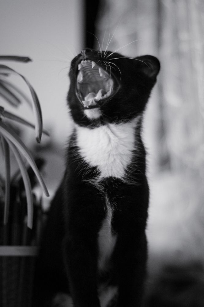 Photograph by Гульнара Зиангирова