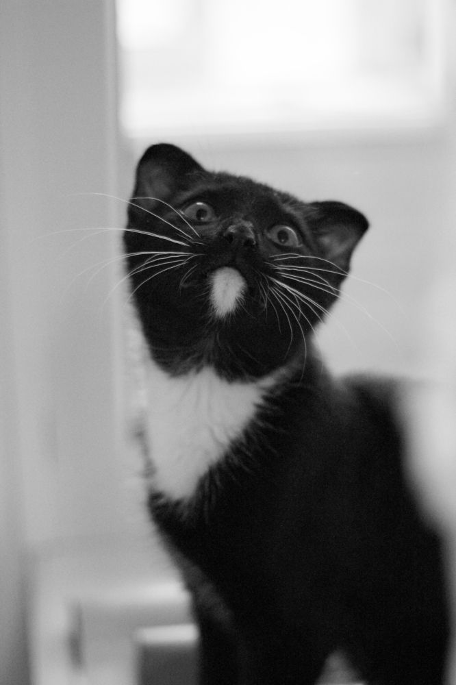 Photograph by Гульнара Зиангирова