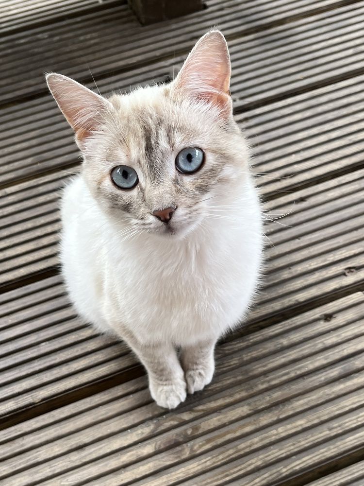 Photograph by Болдырева Ольга