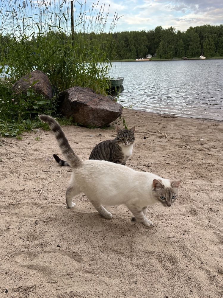 Photograph by Болдырева Ольга