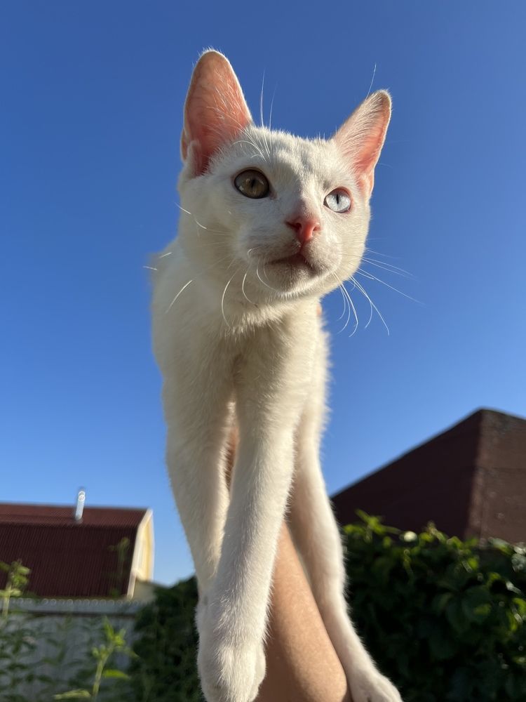 Photograph by Болдырева Ольга