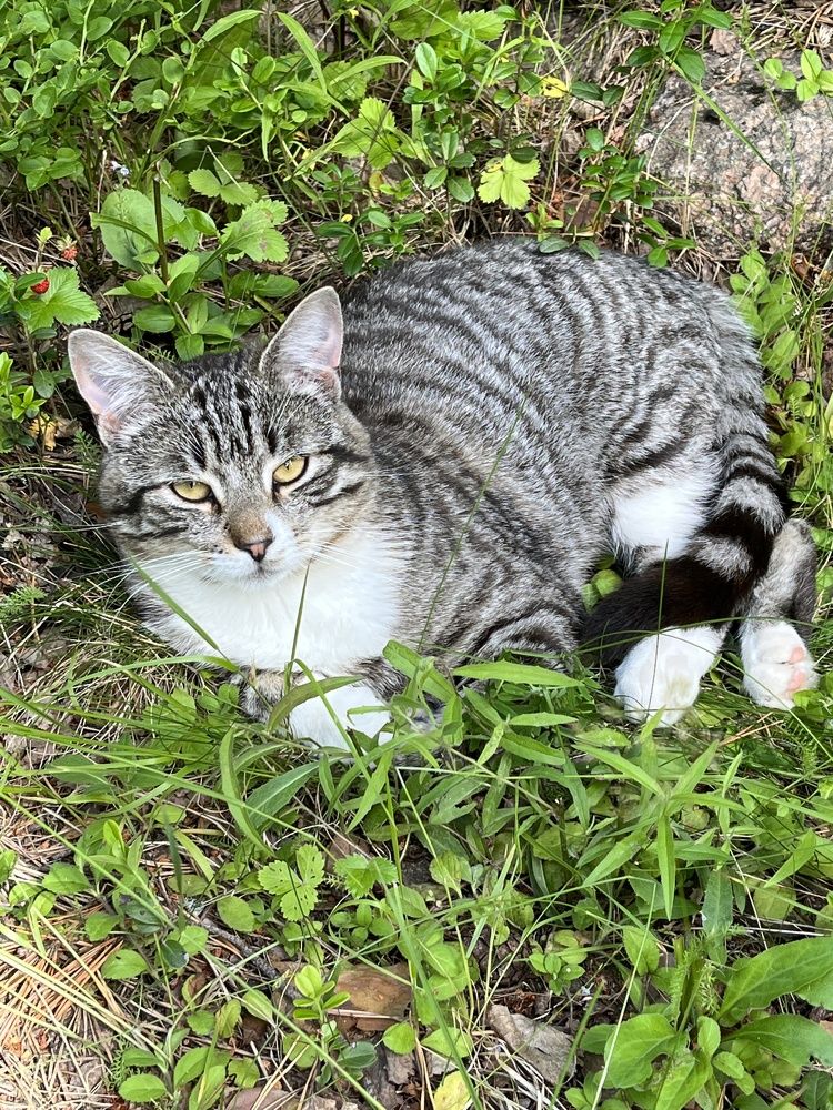 Photograph by Болдырева Ольга