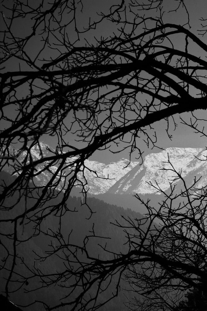 Photograph by Manjari Singh